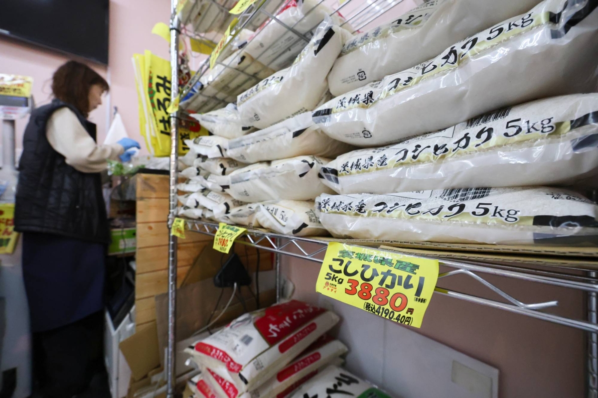 Japan's Rice Price Crisis: Why a 5kg Bag Now Costs Over ¥4,000