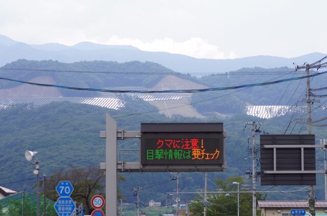 Blinding Reflections on a Wounded Mountain: Fukushima’s 96,000 Solar Panels Spark a Grassroots Revolt