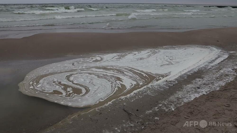 Sunflower Oil Spill After Russian Airstrikes Devastates Wildlife on Ukraine’s Black Sea Coast