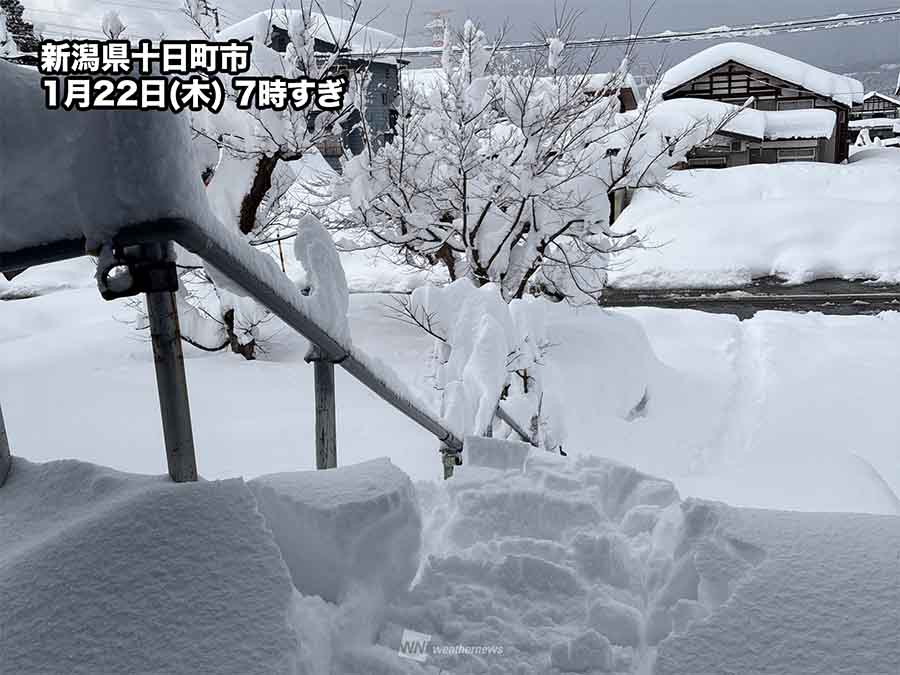 Japan Mobilizes as Cold Wave Deepens: Heavy Snow Slams Hokuriku, Spreads to Pacific Coast with Weekend Peak Ahead