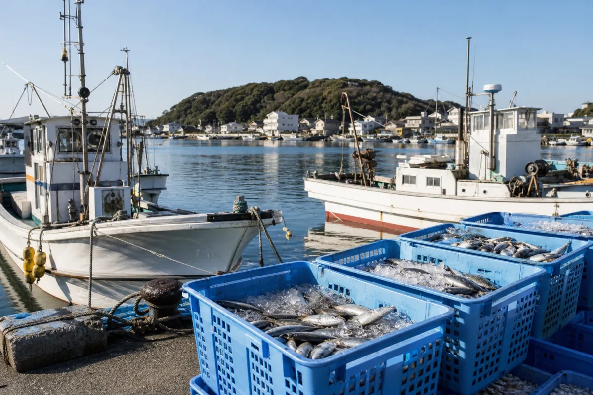 Chiba Prefecture, Futtsu City: Support Benefit for Fishery Operators (FY2026)