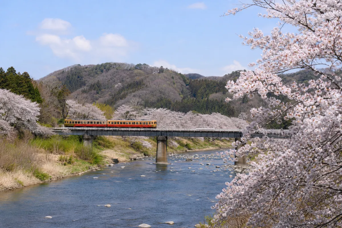 Daigo Town, Ibaraki: FY2026 Suigun Line Tourism and Visitor Attraction Event Subsidy