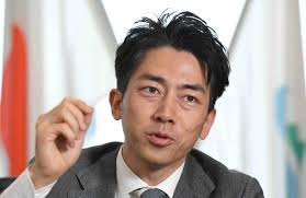 Shinjiro Koizumi's Online Debate Drowned in Comments, Sparks 'Mosaic' Backlash