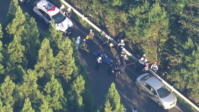 Bear Attacks in Northern Japan: One Dead, One Missing as Searches Intensify