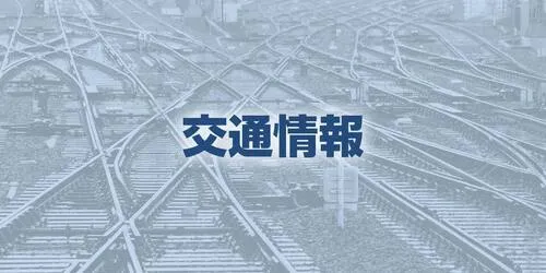 Eight Doors Open on Moving Tsukuba Express Train Near Moriya Station