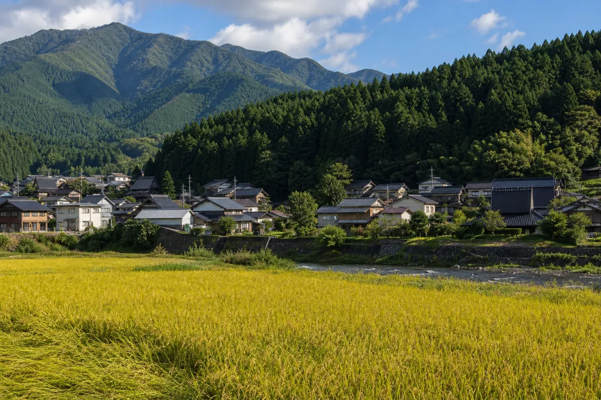 FY2026 Sakegawa Village Qualification Acquisition Support Program