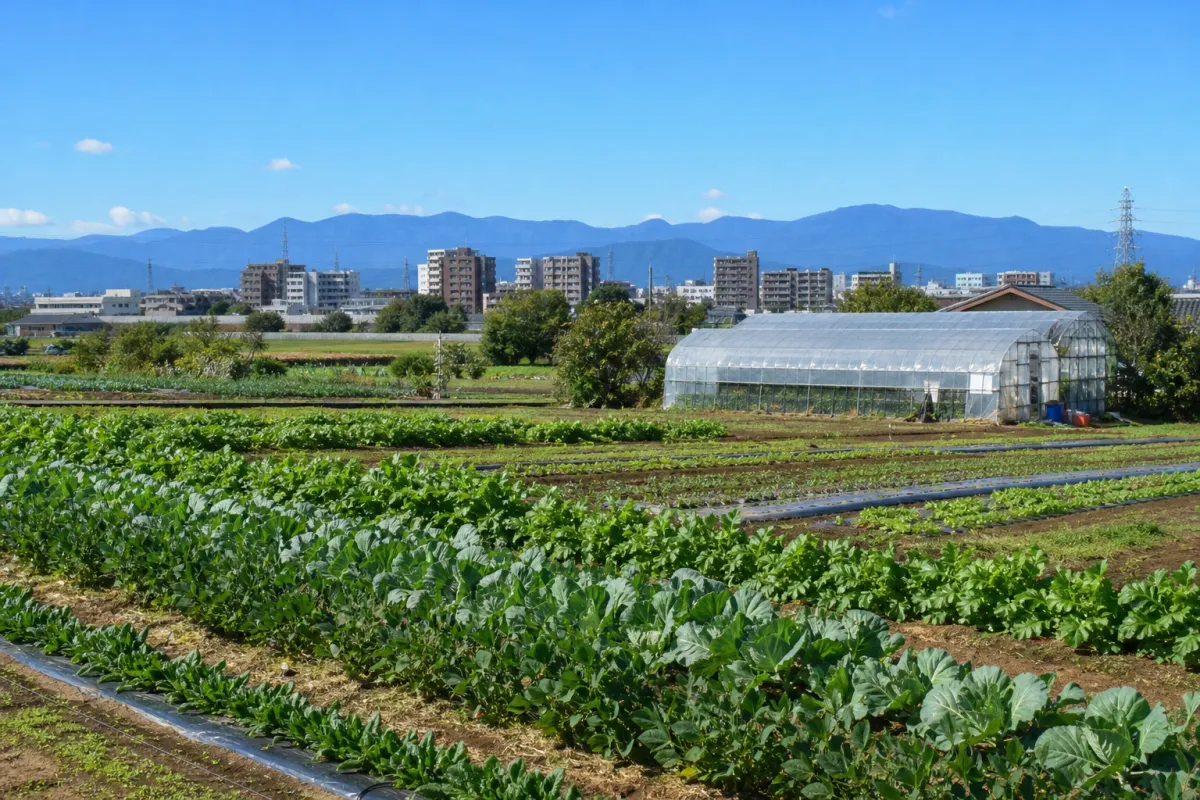 Hachioji City Certified Farmers Support Subsidy (FY2026)