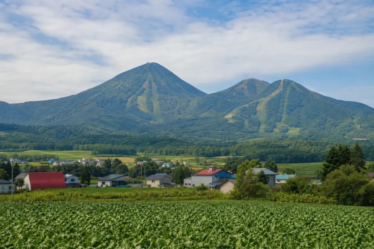 Hokkaido Rusutsu Village: Rusutsu Village Community Development Activity Support Program (Round 2, FY2026)