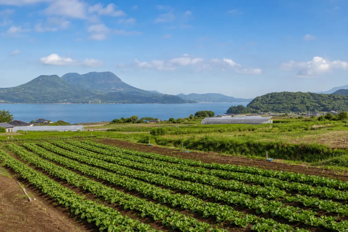 Kami-Amakusa City, Kumamoto: Emergency Subsidy for Rising Agricultural Costs (FY2026)