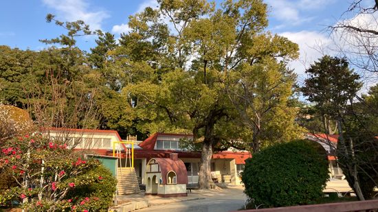 Osaka Man Re-Arrested for Cannabis Possession After Alleged Break-In at Kansai University Kindergarten