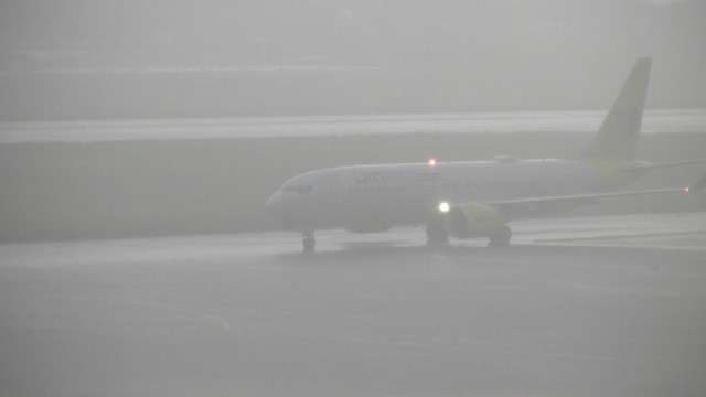 Record-Breaking Downpour Hits Kagawa, Disrupting Air Travel