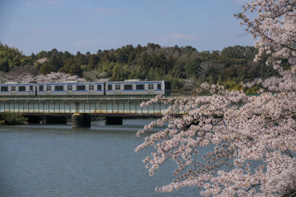 Naka City, Ibaraki: FY2026 Suigun Line Group Use Subsidy for Elementary and Junior High Students