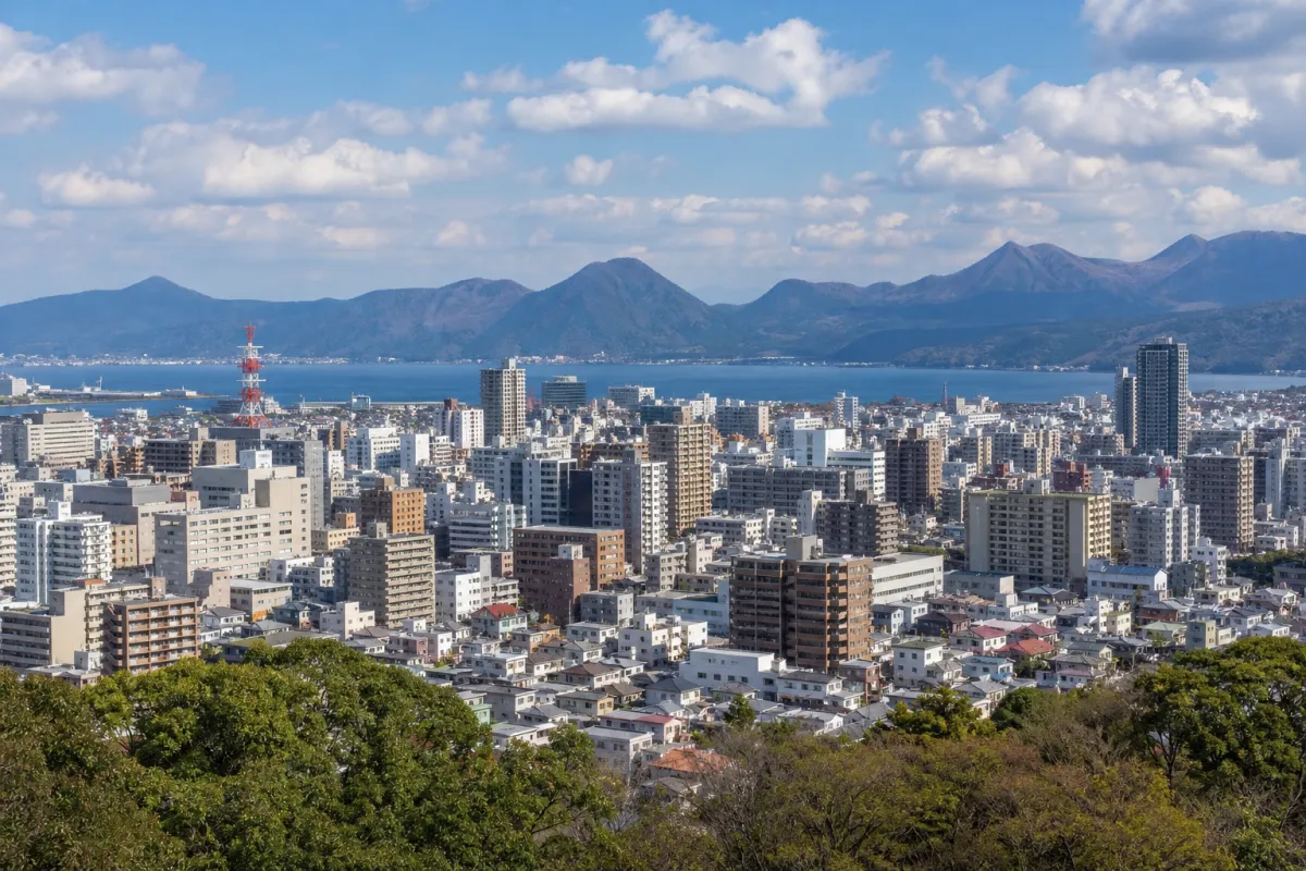 Oita City Asbestos Analysis Project Subsidy