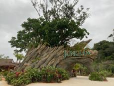 Reports Question Junglia Okinawa’s Attendance as Operator and Katana Deny Bankruptcy Risk