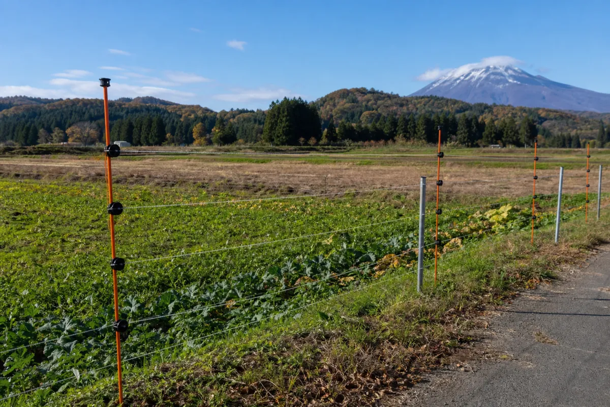 Rokunohe Town, Aomori: Electric Fencing Support Subsidy for Preventing Wildlife Damage