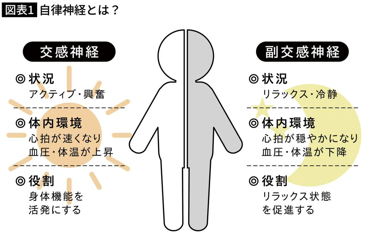 Why You Wake Up Tired: Brain Surgeon Reveals Autonomic Nervous System Mistakes in Daily Habits