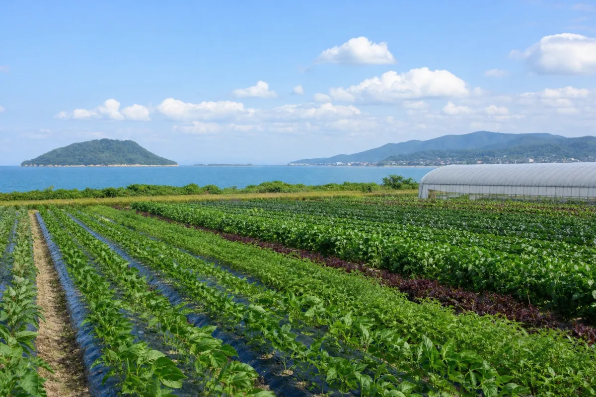Saga Prefecture Karatsu City: New Farmer Step-Up Support Program (FY2026)