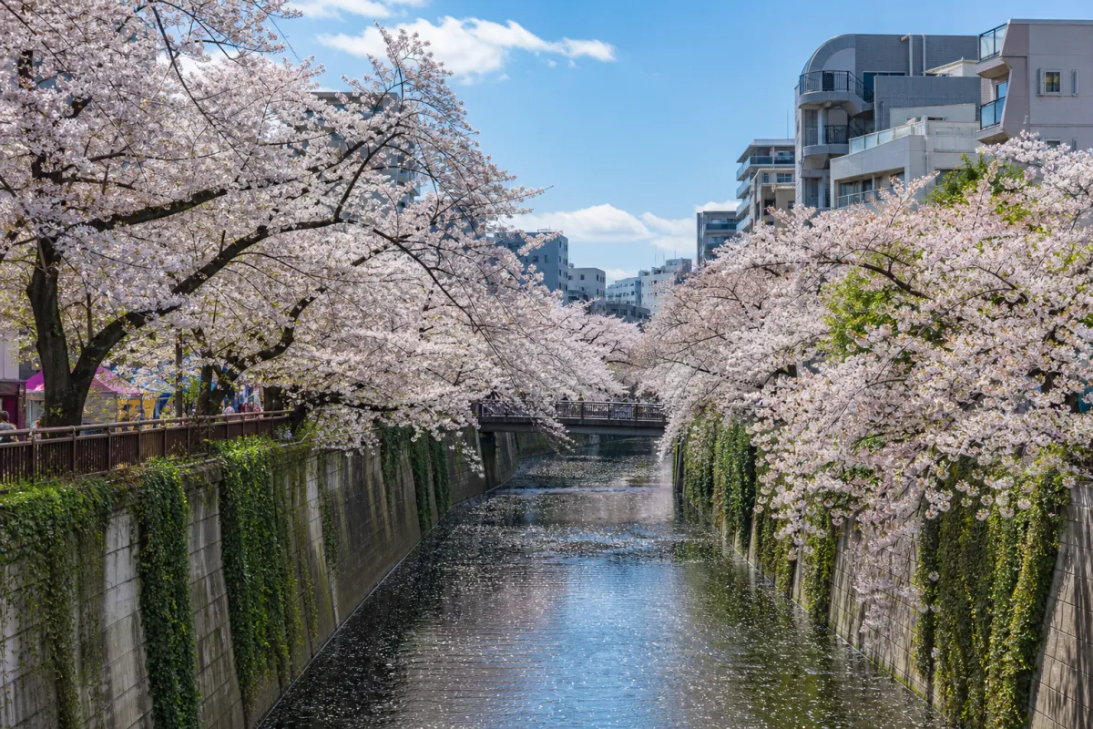 Tokyo Meguro Ward: Cost-of-Living Response Loan Support Grant (FY2026)