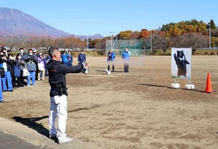 Rising Bear Encounters Disrupt Essential Services Across Eastern Japan